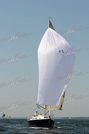 2012 Vineyard Race A 284