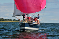 2010 IRC LIS 1849