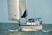 2015 Southern Bay Race Week C 1319