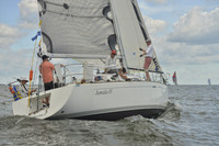 2016 Vineyard Race A_0699