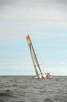 2014 Vineyard Race B 483