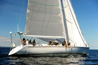 2014 Vineyard Race A 1982