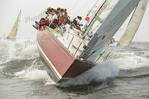 2015 Vineyard Race A 266