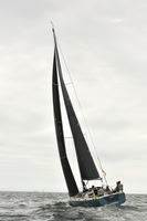 2018 Newport Bermuda Race A_0496