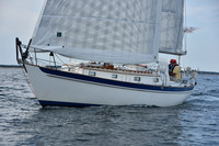 2019 Around Marthas Vineyard A_0390