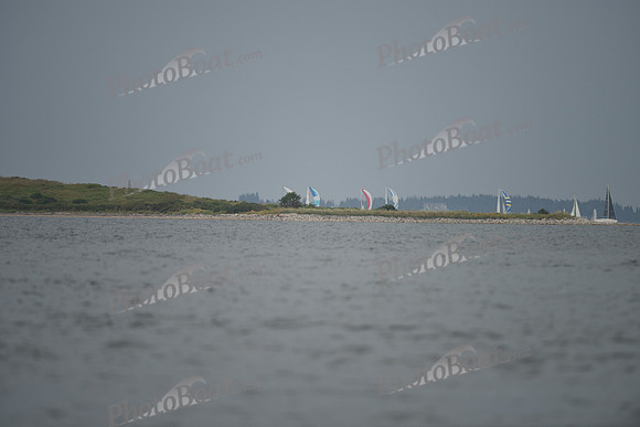 2016 Chester Race Week D_1010