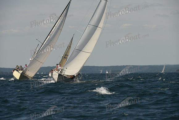 2016 Chester Race Week A_1382