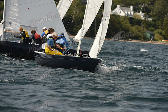 2016 Chester Race Week A_1705