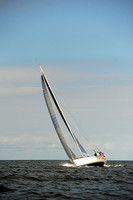 Bombardino