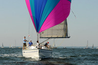 2012 Vineyard Race A 088