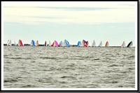 proof_2010_EScows_A 956