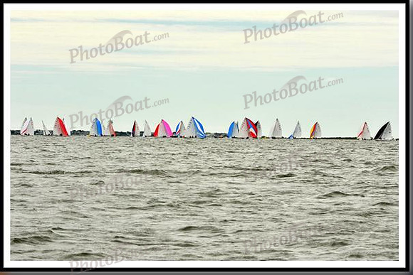 proof_2010_EScows_A 956