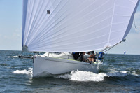 2020 Vineyard Race A_0876