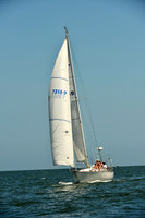2015 Southern Bay Race Week C 1482