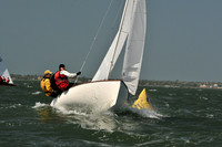 2012 Thistle Midwinters B 783