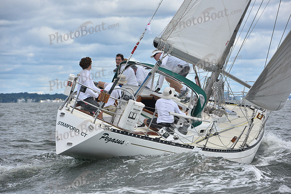2021 Vineyard Race A 0290