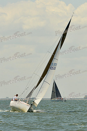 2015 Southern Bay Race Week A 351