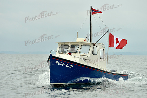 2016 Chester Race Week E_0225