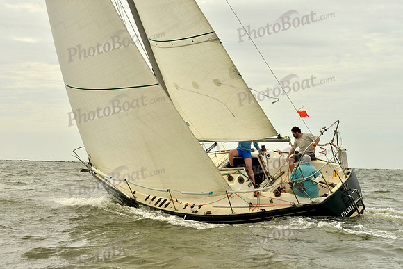 2019 Charleston Race Week I_0439