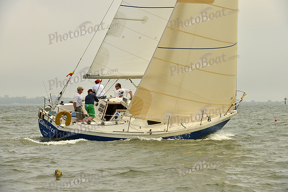 2016 Southern Bay Race Week A_0354