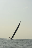 2015 Vineyard Race B 468