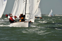 2012 Thistle Midwinters B 546