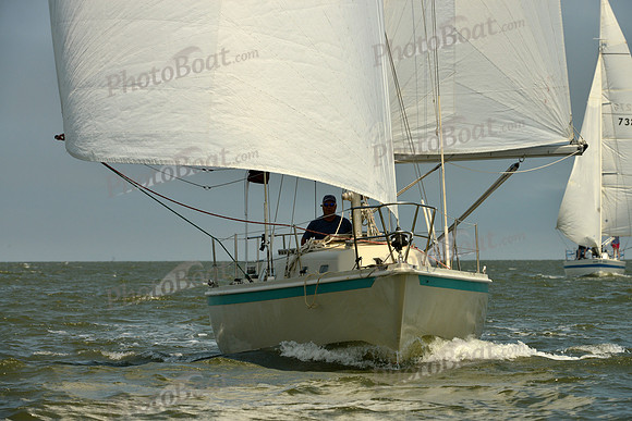 2016 Southern Bay Race Week B_0214
