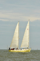 2015 Charleston Race Week B 499