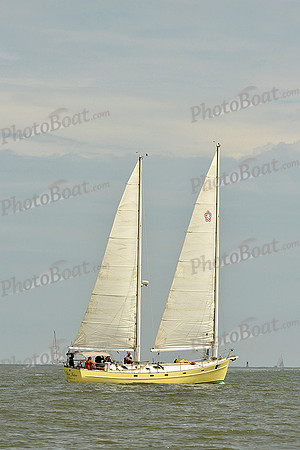 2015 Charleston Race Week B 499