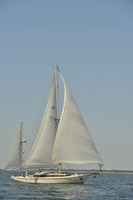2017 Southern Bay Race Week B_0172