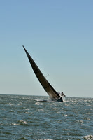 2013 Southern Bay Race Week D 308