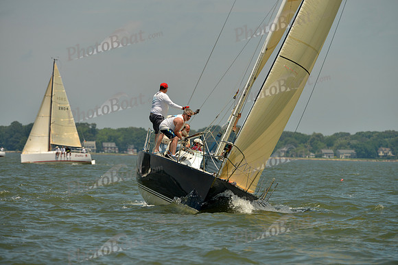 2016 Southern Bay Race Week F_1042