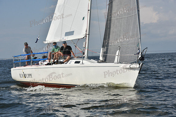 2019 Gov Cup A_2190