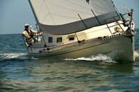 2015 Southern Bay Race Week C 800