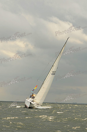 2012 Cape Charles Cup A 993