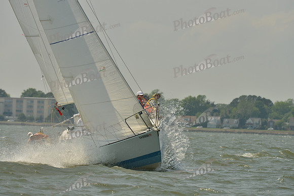 2016 Southern Bay Race Week B_0430