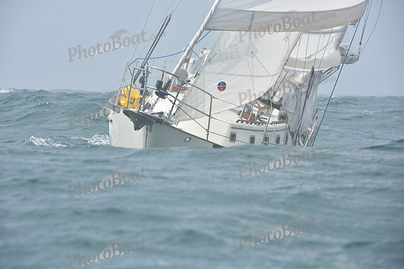 2022 Newport Bermuda_1963