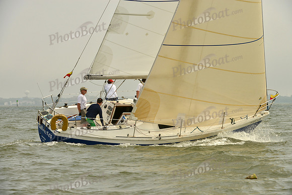 2016 Southern Bay Race Week A_0352