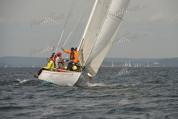 2016 Chester Race Week C_0723