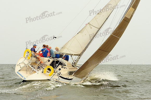 2014 Gov Cup A 1201