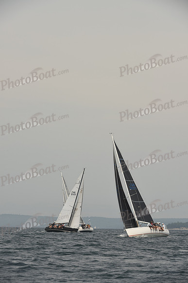 2016 Chester Race Week C_0153