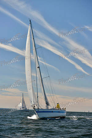 2017 Vineyard Race A_0680