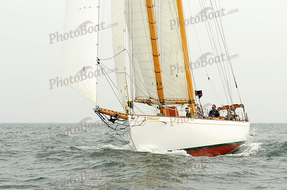 2011 July 3 531