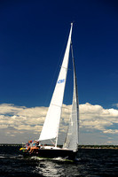 2014 Vineyard Race A 667