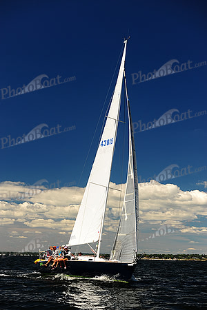 2014 Vineyard Race A 667