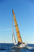 2014 Vineyard Race A 785