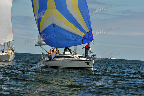 2010 IRC LIS 1966