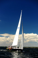 2014 Vineyard Race A 666