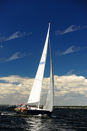 2014 Vineyard Race A 666