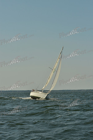 2016 NYYC Race Week A 1815